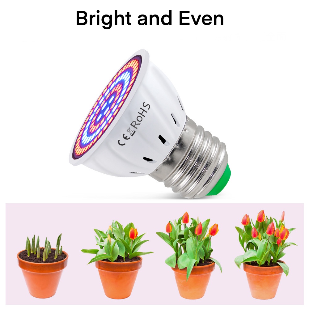 Full Spectrum LED Grow Bulb Light GRW600picture5