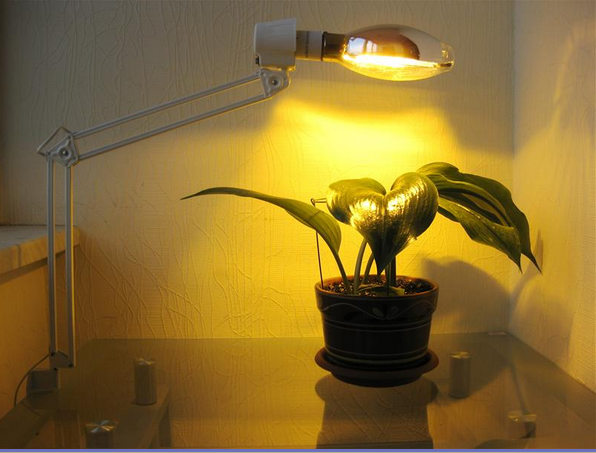 Reflector HPS Lamp 400w High Pressure Sodium Lamp