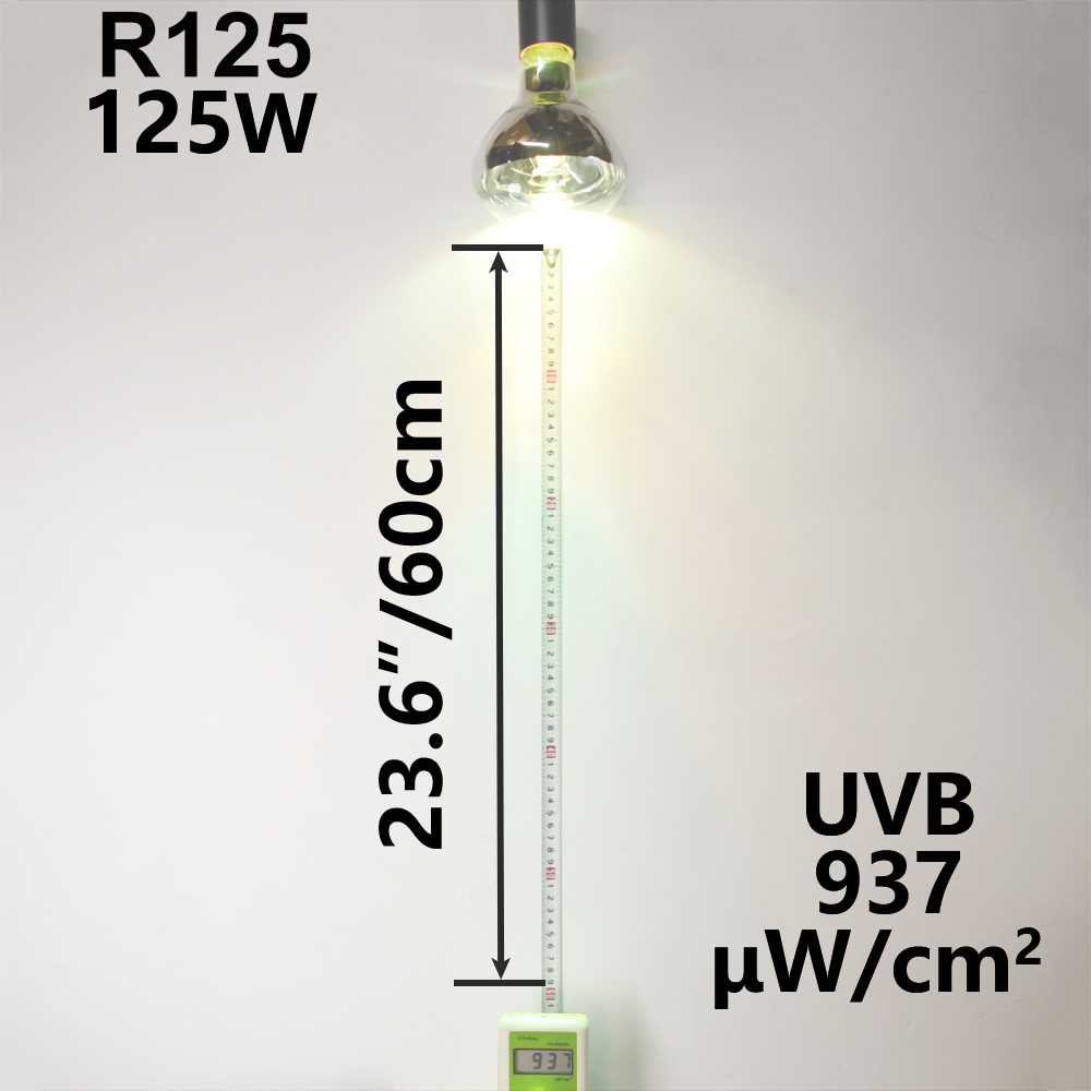 80W 100W 125W 160W Reptile Mercury Vapour Lamps MER200picture6