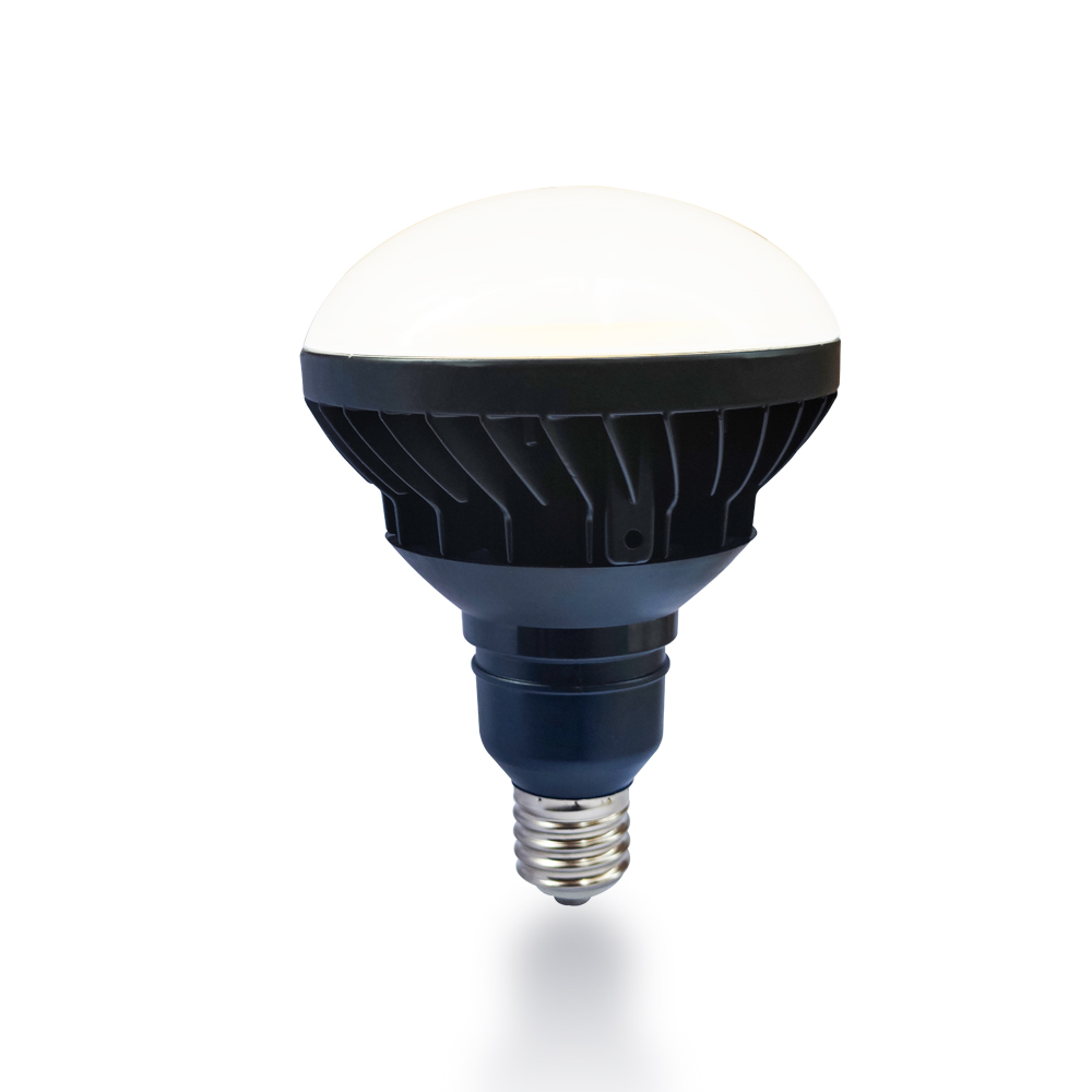 18W 20W 40W 48W High Lumens 180-200lm/w E26 E39 LED Mercury Lamp MER300picture4