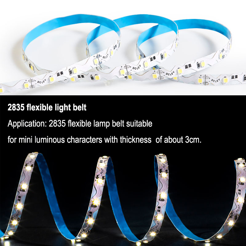 Waterproof Mini 12v 2835 LED Modules MD300picture2