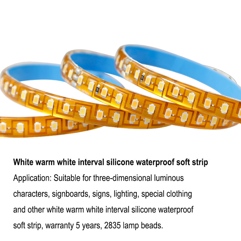 Waterproof Mini 12v 2835 LED Modules MD300picture4