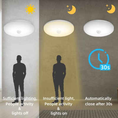LED Ceiling Light CL170picture3