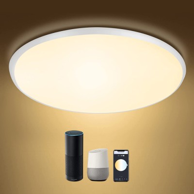 LED Ceiling Light CL190picture4