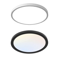 LED Ceiling Light CL190