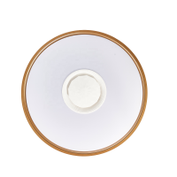 LED Ceiling Light CL300