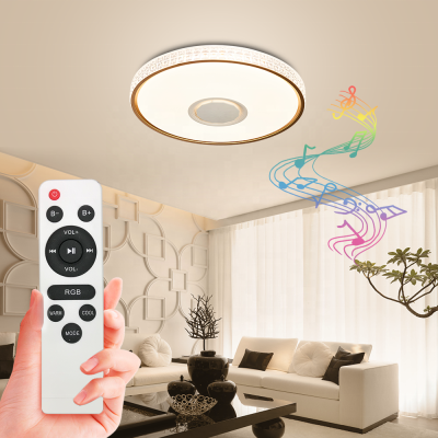 LED Ceiling Light CL300picture3