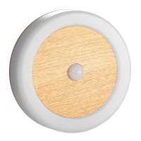 LED Induction Light NDL140