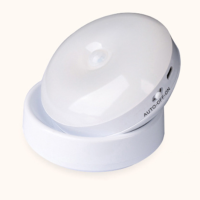 LED Induction Light NDL220