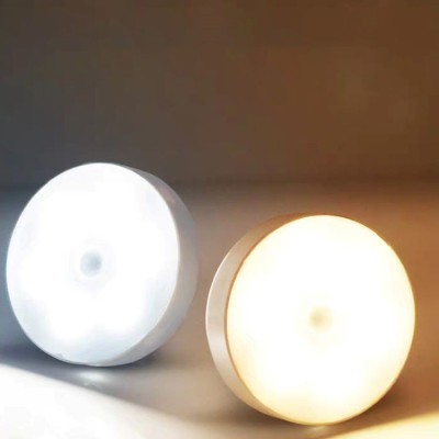 LED Induction Light NDL300picture7