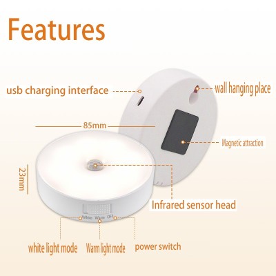 LED Induction Light NDL350picture5