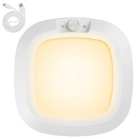 LED Induction Light NDL570