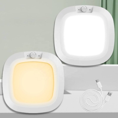 LED Induction Light NDL570picture3