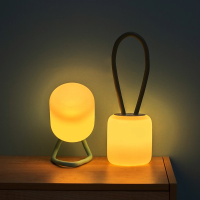 LED Night Light NL310picture2