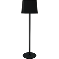 LED Desk Lamp DTL1160