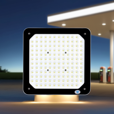 LED Gas Station Light CAN110picture5