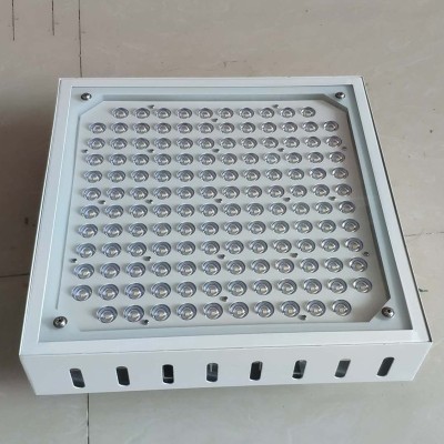 LED Canopy Light CAN580picture6