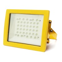 LED Canopy Light CAN580