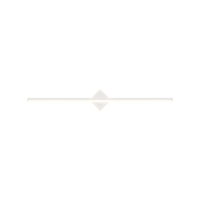 LED Wall Light WL150