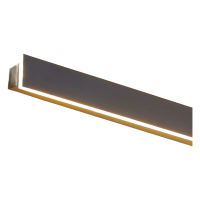 LED Wall Light WL230