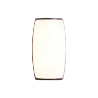 LED Wall Light WL290