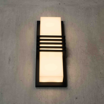 LED Wall Light WL870picture7