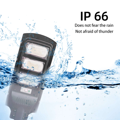 Solar Street Light SSL110picture4