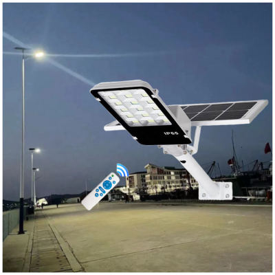 Solar Street Light SSL120picture6