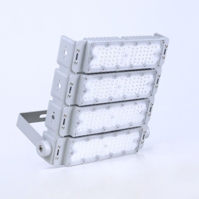 LED Tunnel Light TUN370picture5
