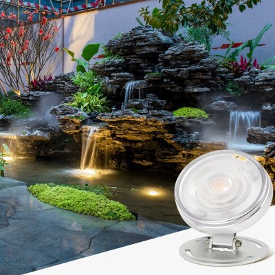 12V DC IP68 LED Underwater Lamp UW1420picture7