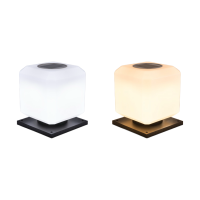 LED Pillar Light PLR890