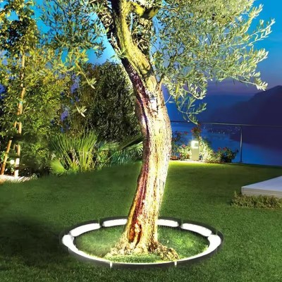 P65 Waterproof Palm Tree with LED Light for Garden THL500picture8