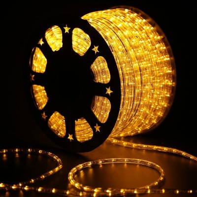 LED Rope Light RPL100picture5