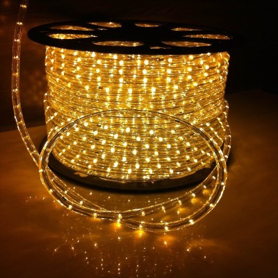 LED Rope Light RPL200picture6