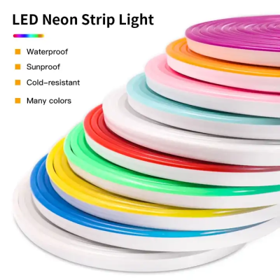 LED Neon Light NEL600picture6