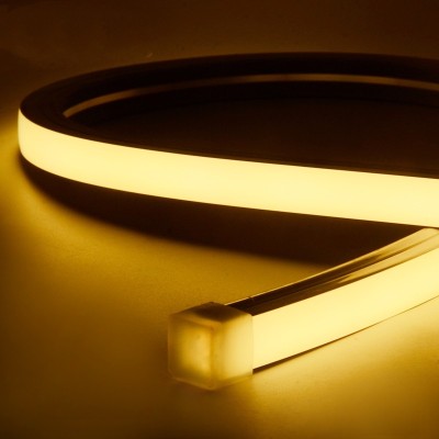 LED Neon Light NEL2000picture5