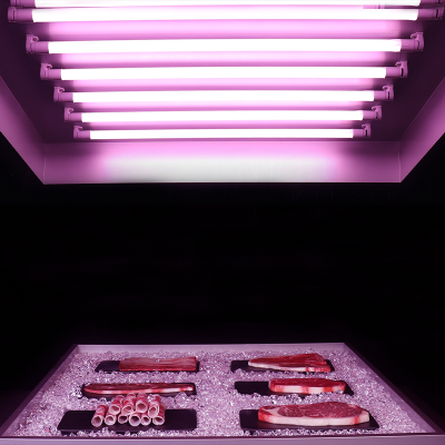Fresh Meat T8 Food Light FRE300picture7