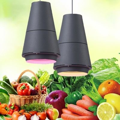 25W 85-265V Aquatic Fresh Foods Chandelier Lamp FRE1100picture6