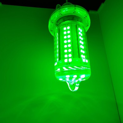 30W 80W 12W DC6V IP68 Fish Attracting Underwater Fishing Lights FSL400picture7
