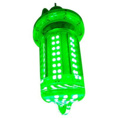 30W 80W 12W DC6V IP68 Fish Attracting Underwater Fishing Lights FSL400picture1