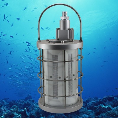 1000W Underwater Submersible Fish Attracting LED Fishing Light FSL900picture5