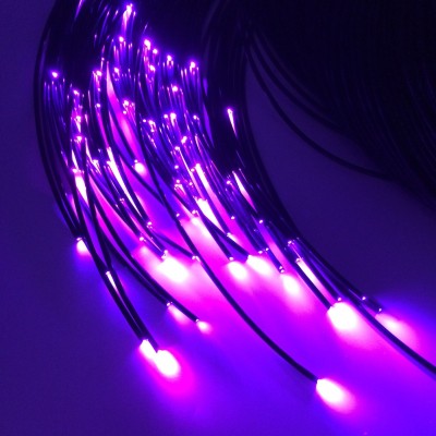 LED Fiber Optic Light FBL100picture7