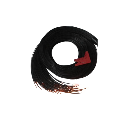 LED Fiber Optic Light FBL100picture1