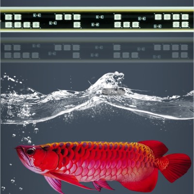 92cm 25W Gold Arowana LED Aquarium Light AQL900picture4