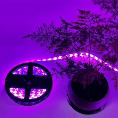 LED Grow Light GRW100picture7