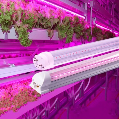 Full Spectrum 5W 9W 18W 1FT 2FT 4FT T5 T8 LED Grow Light GRW300picture6