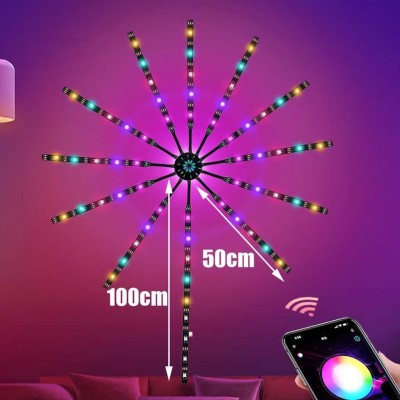 LED Firework Light FRW100picture5
