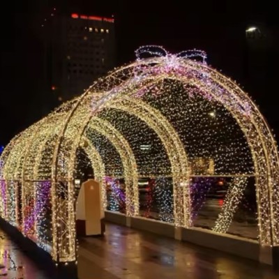 Customized Holiday Decoration 3D Motif Light MOT1300picture7