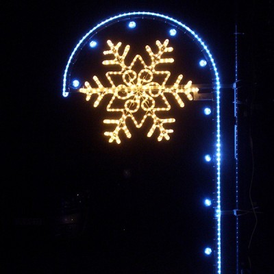 Outdoor Decoration LED Motif Holiday Light MOT1400picture7