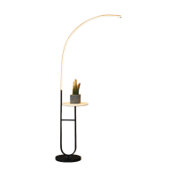 Modern Creative LED Floor Lamp CMS220
